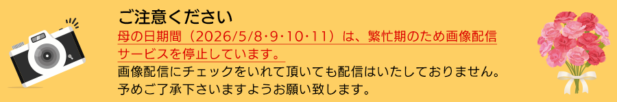 画像配信停止のご案内
